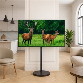 מעמד נייד עד 55 עם גלגלים נסתרים שחור מט AL55B